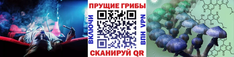 Псилоцибиновые грибы GOLDEN TEACHER  продажа наркотиков  Вятские Поляны 